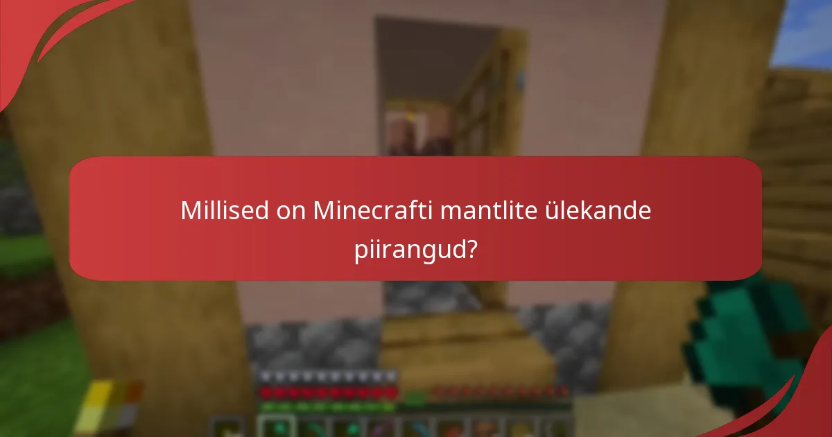Kuidas võrreldakse Minecrafti mantleid teiste mängusiseste esemetega?